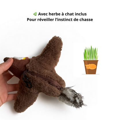 Oiseau Magique Rechargeable avec Herbe à chat