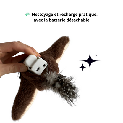 Oiseau Magique Rechargeable avec Herbe à chat